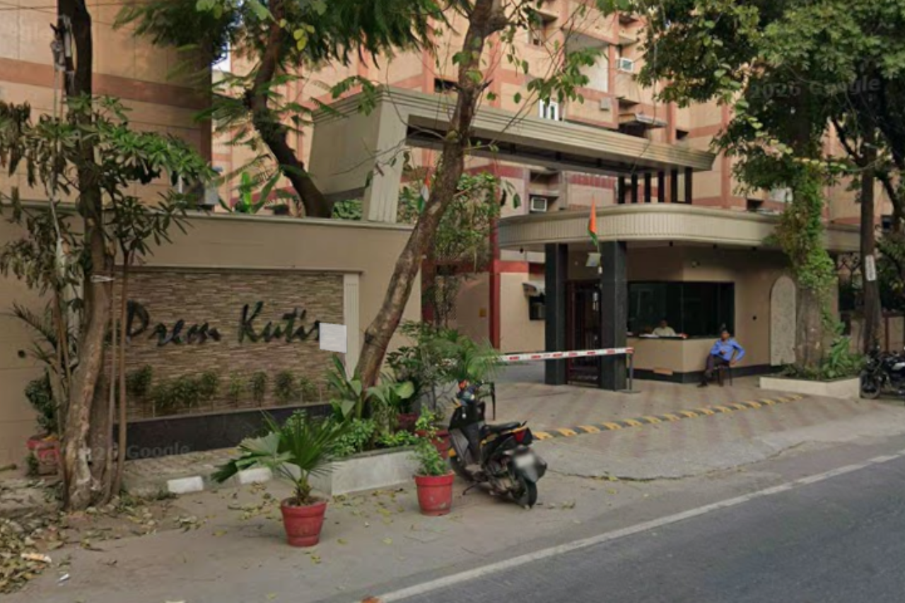 DLF Camellias